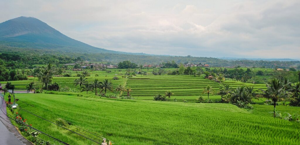UNESCO Rice Terraces Bike Tour — Full Day — Rider moment