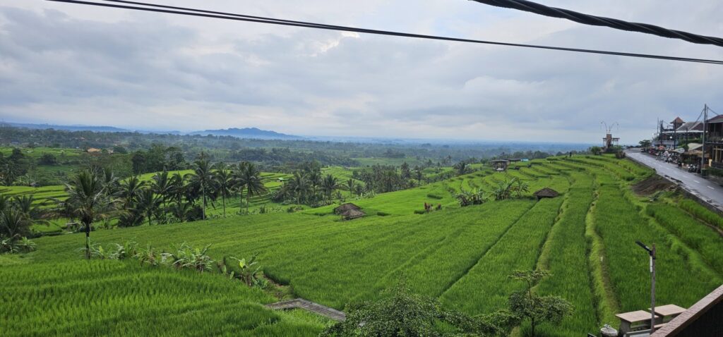UNESCO Rice Terraces Bike Tour — Full Day — Photo 5