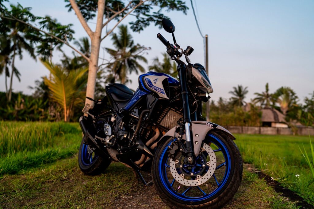Yamaha MT-25 White photo 2 Iron Rent Bali