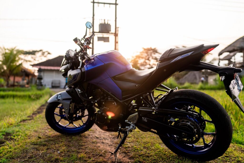Yamaha MT-25 White photo 5 Iron Rent Bali