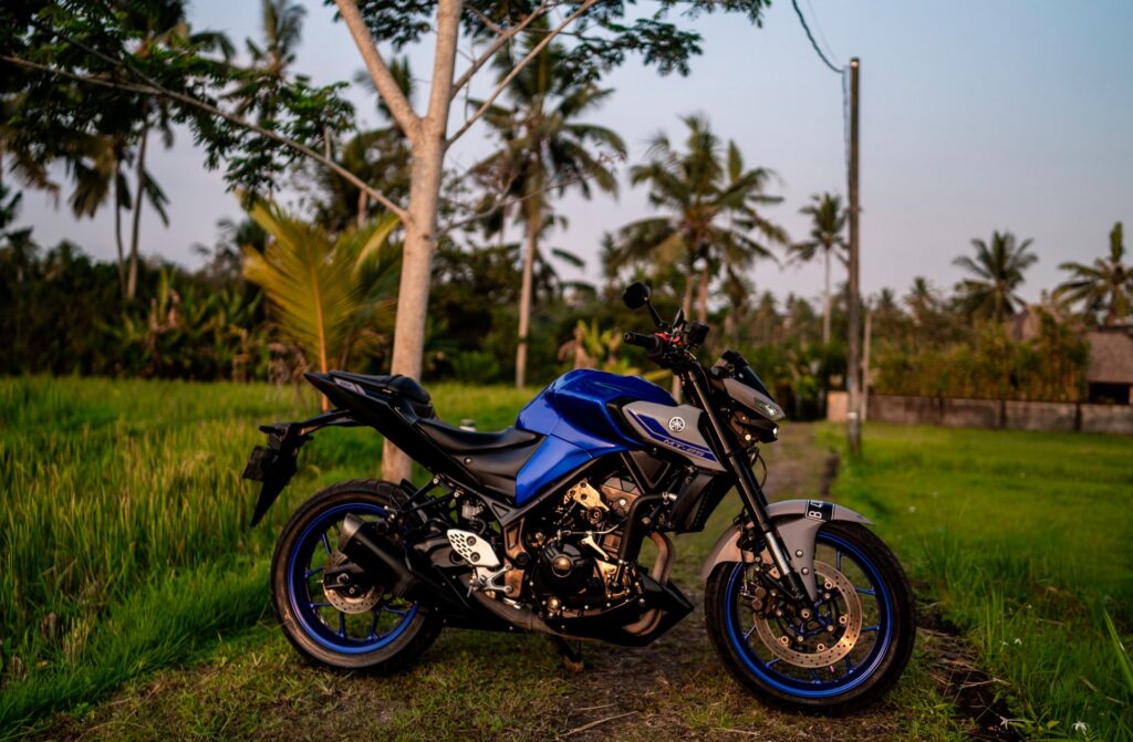 Yamaha MT-25 White photo 3 Iron Rent Bali