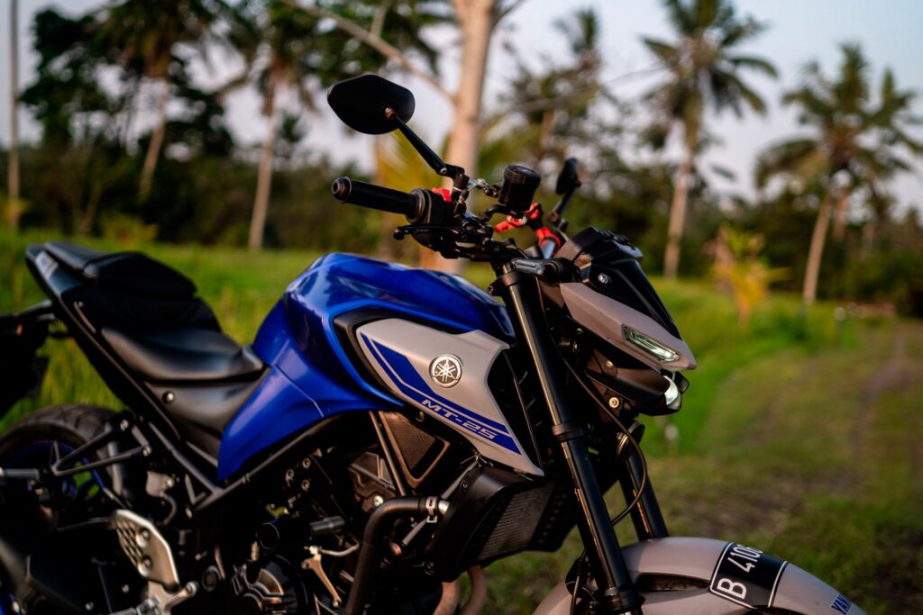 Yamaha MT-25 White photo 7 Iron Rent Bali