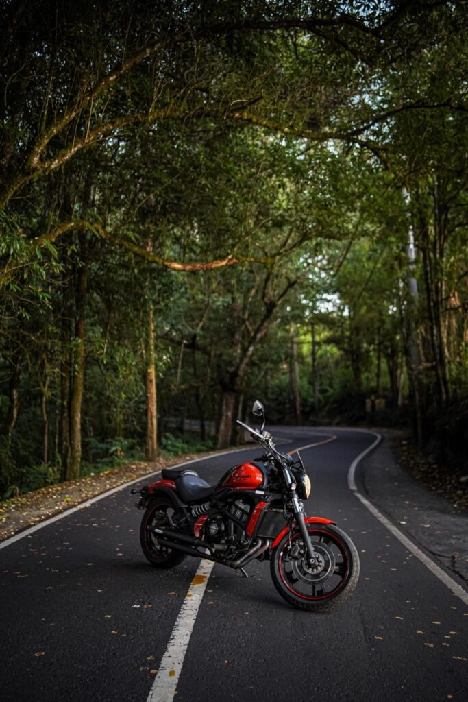Kawasaki Vulcan S Orange photo 9 Iron Rent Bali