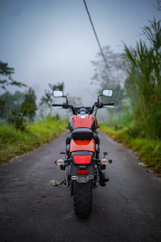 Kawasaki Vulcan S Orange photo 11 Iron Rent Bali