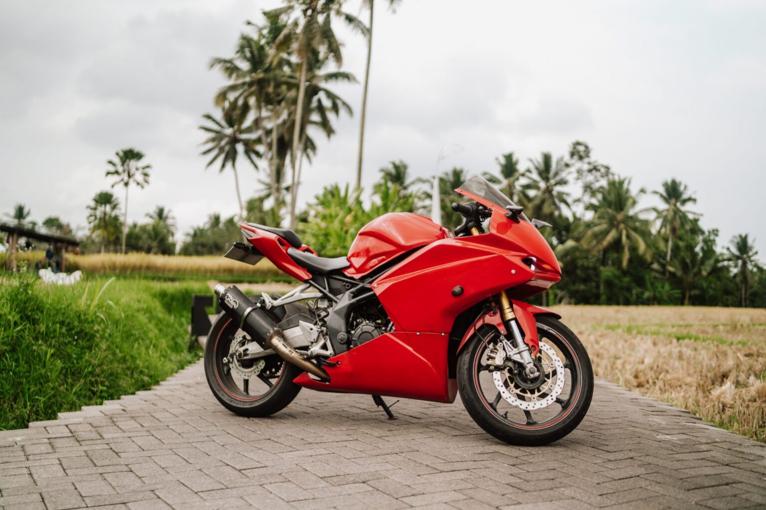 Honda CBR250RR Diablo photo 8 Iron Rent Bali