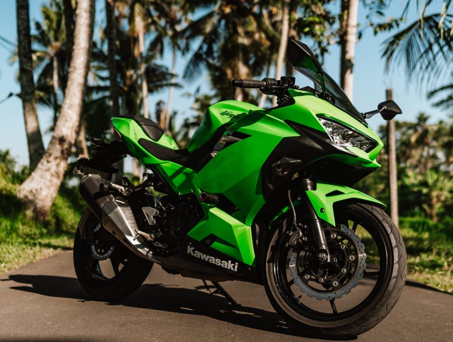 Kawasaki Ninja 250 Green photo 3 Iron Rent Bali