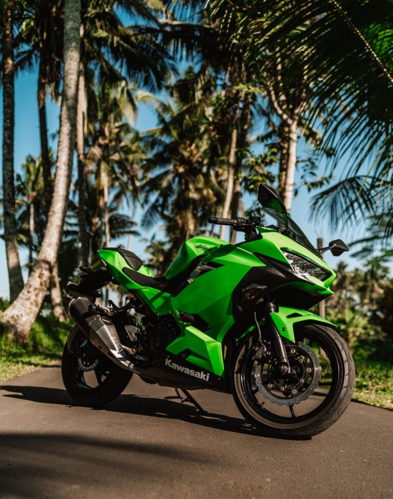 Kawasaki Ninja 250 Green photo 4 Iron Rent Bali
