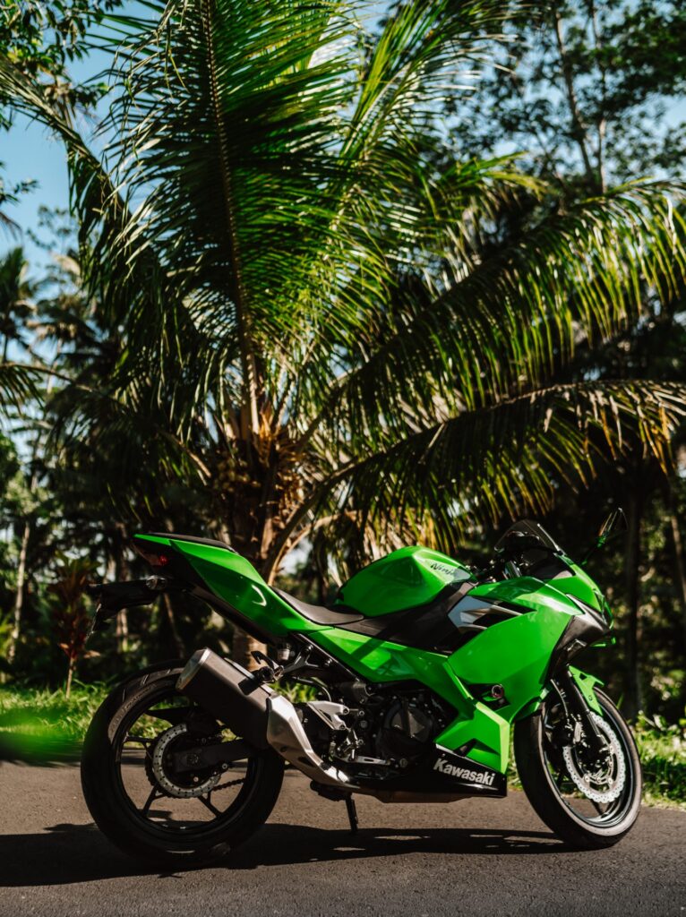 Kawasaki Ninja 250 Green photo 8 Iron Rent Bali