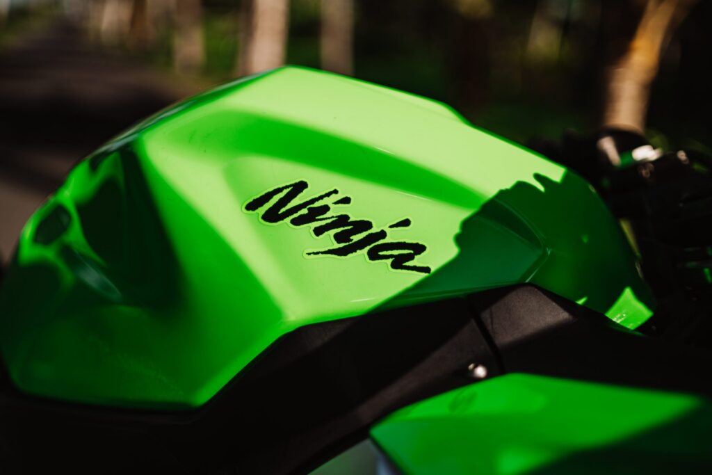 Kawasaki Ninja 250 Green photo 9 Iron Rent Bali