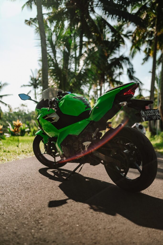 Kawasaki Ninja 250 Green photo 5 Iron Rent Bali