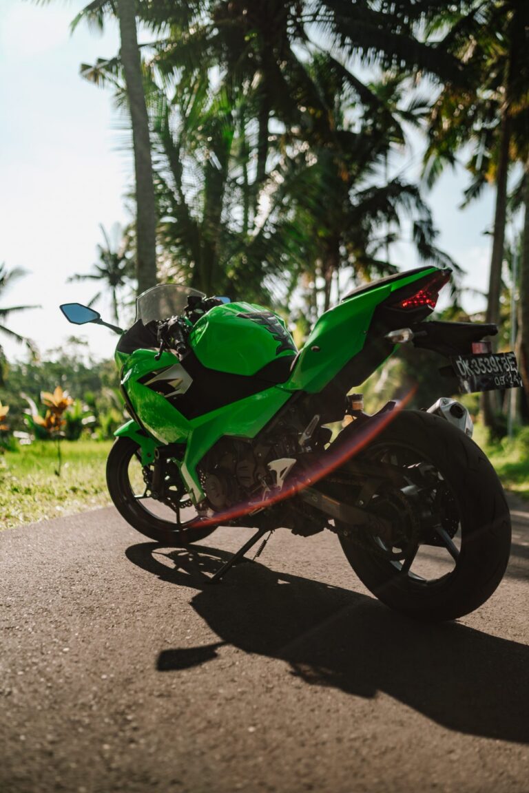 Kawasaki Ninja 250 Green photo 6 Iron Rent Bali