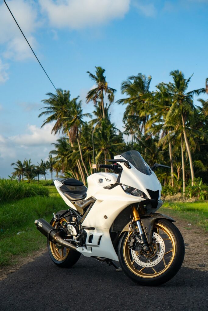 Yamaha YZF-R3 White photo 10 Iron Rent Bali