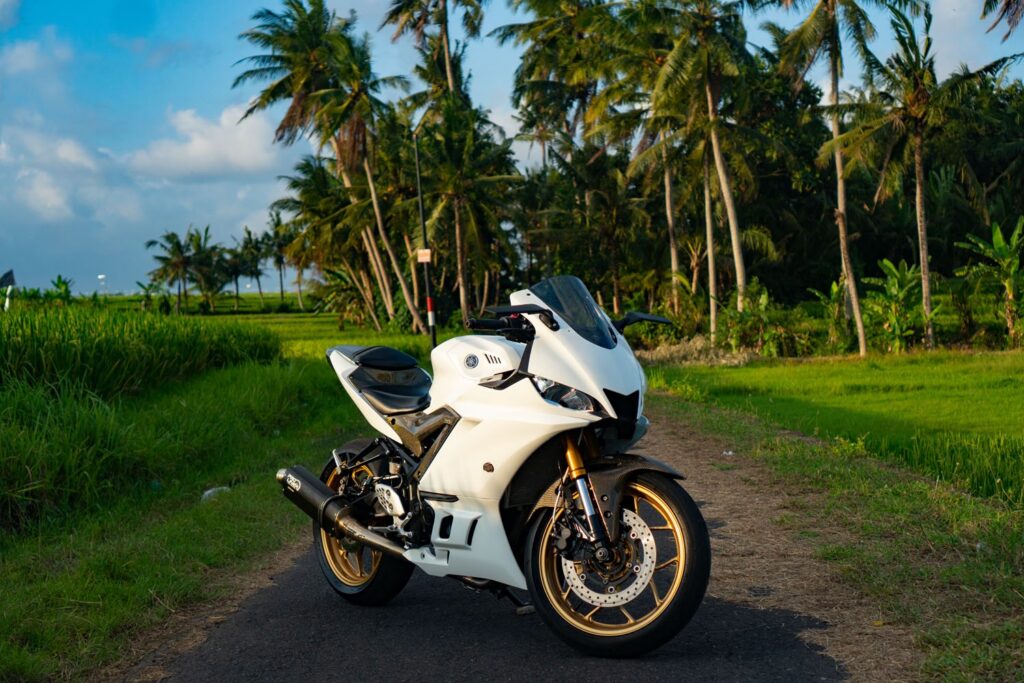 Yamaha YZF-R3 White photo 9 Iron Rent Bali