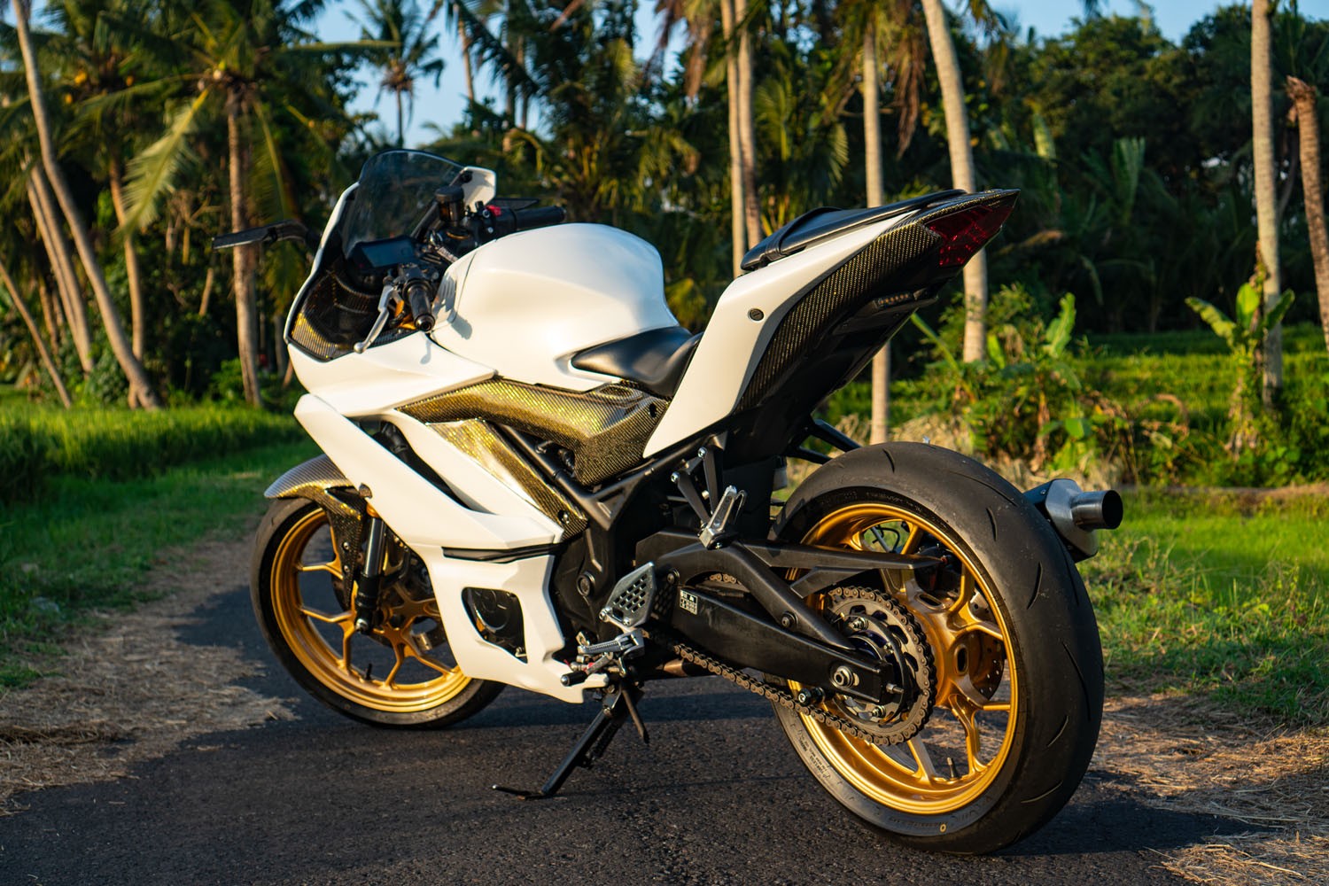 Yamaha YZF-R3 White photo 7 Iron Rent Bali