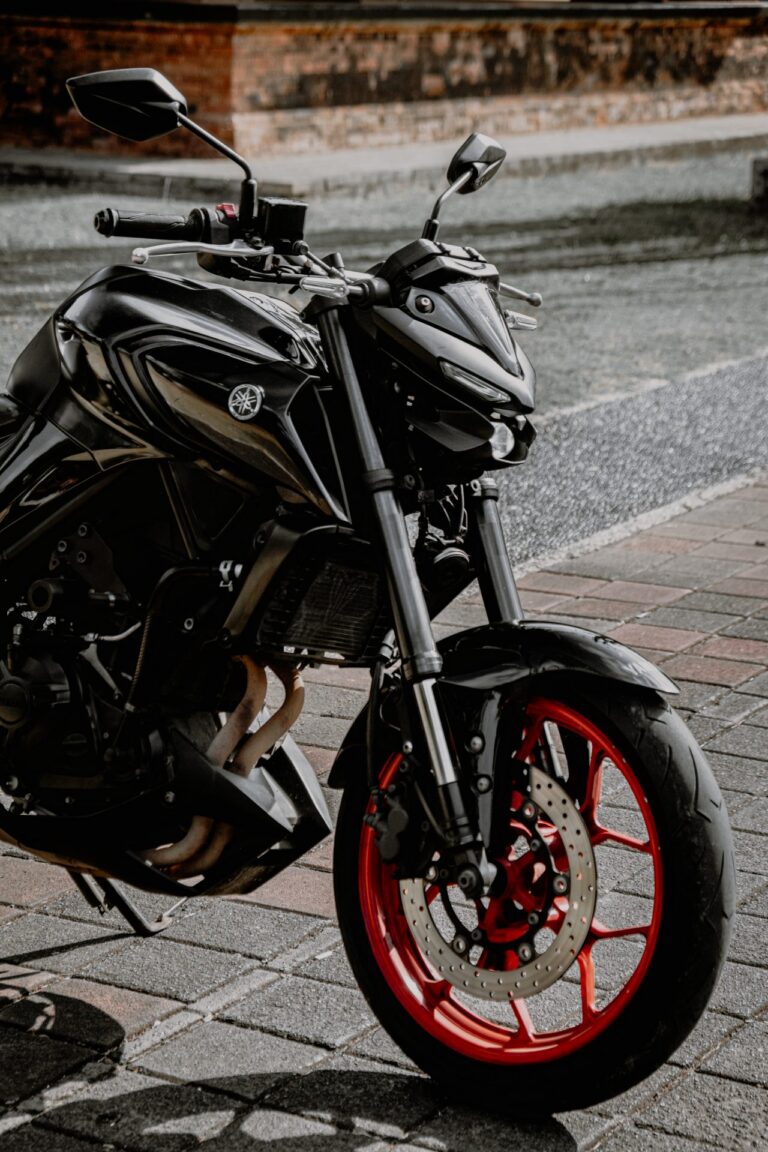 Yamaha MT-25 Black photo 3 Iron Rent Bali