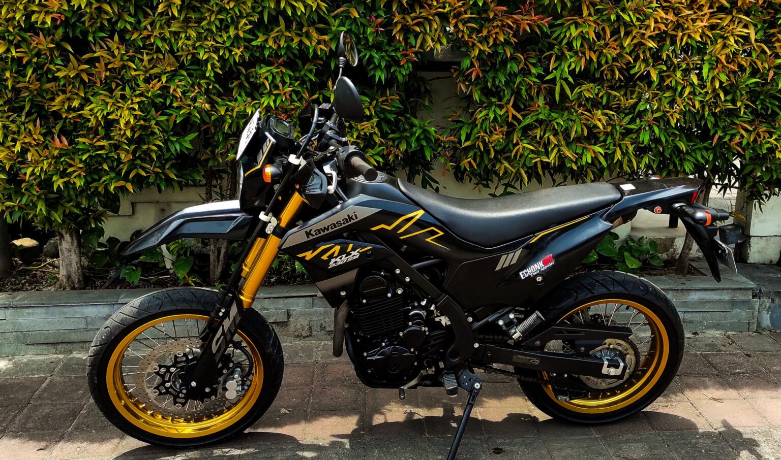 Kawasaki KLX 230 SM photo 4 Iron Rent Bali