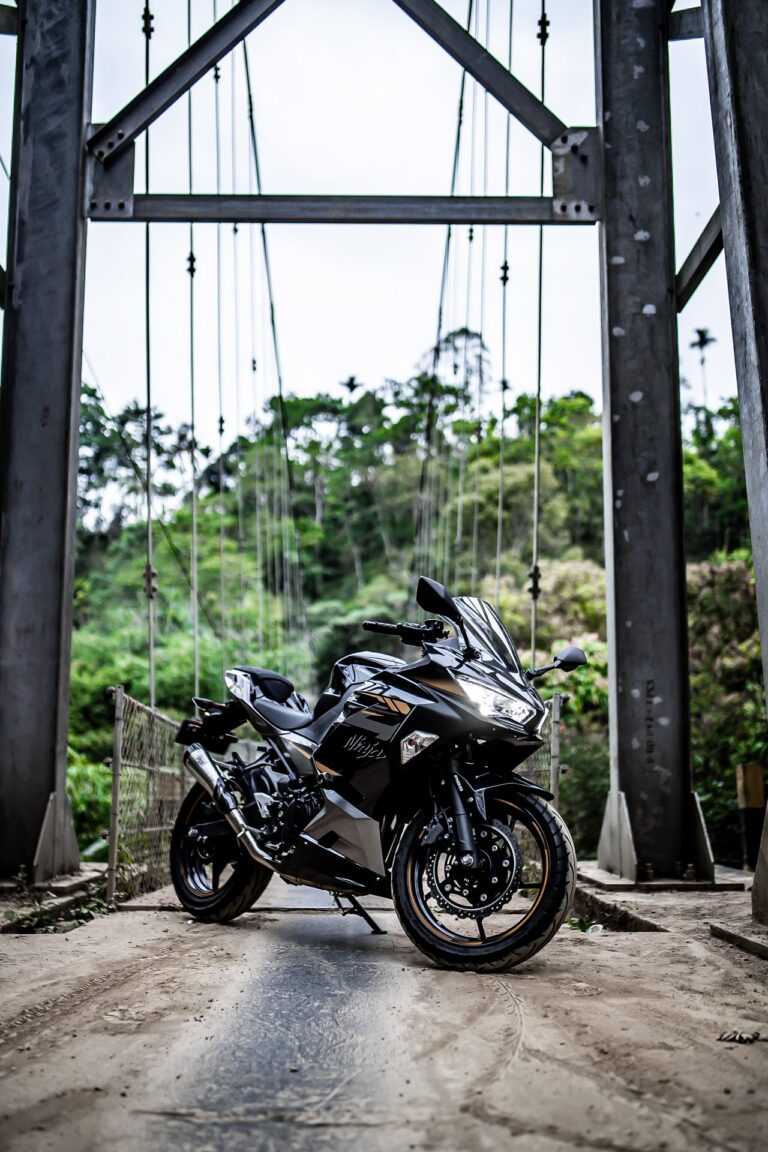 Kawasaki Ninja 250 Black photo 5 Iron Rent Bali