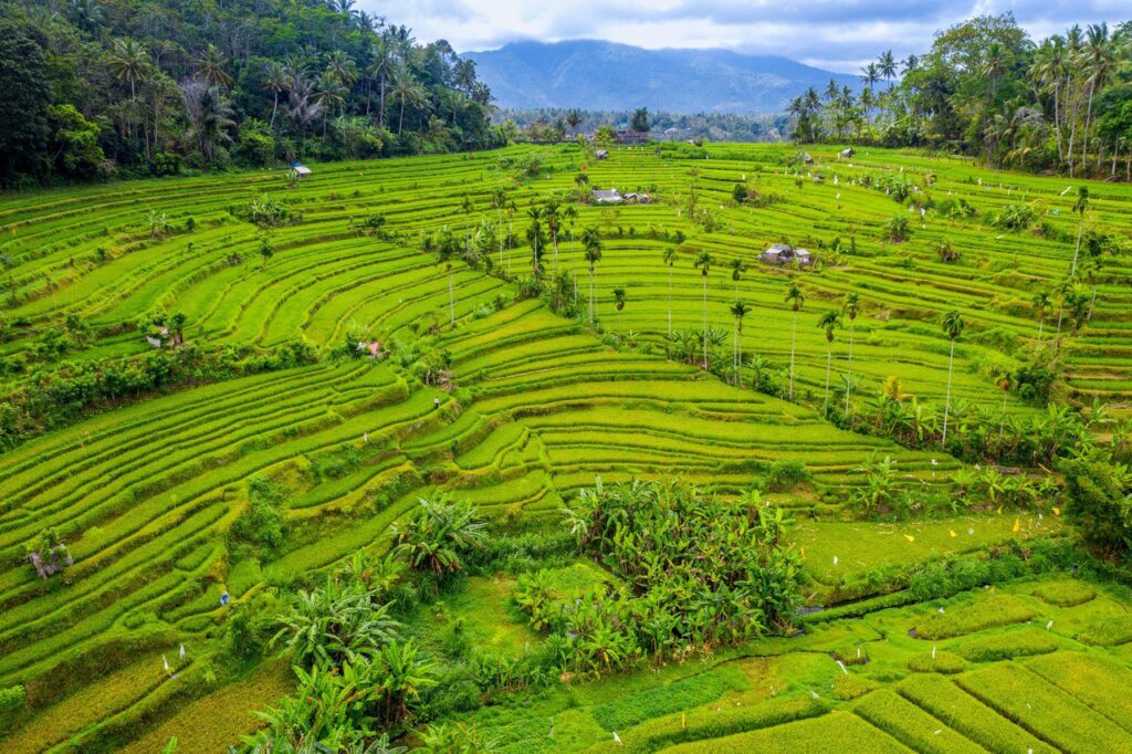 UNESCO Rice Terraces Bike Tour — Full Day — Photo 6