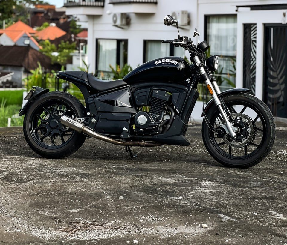 Hunter Pro Street Harley-Davidson photo 3 Iron Rent Bali