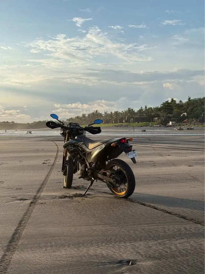 Kawasaki KLX 230 SM SE photo 8 Iron Rent Bali