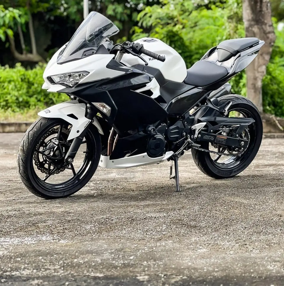Kawasaki Ninja 250 White photo 5 Iron Rent Bali