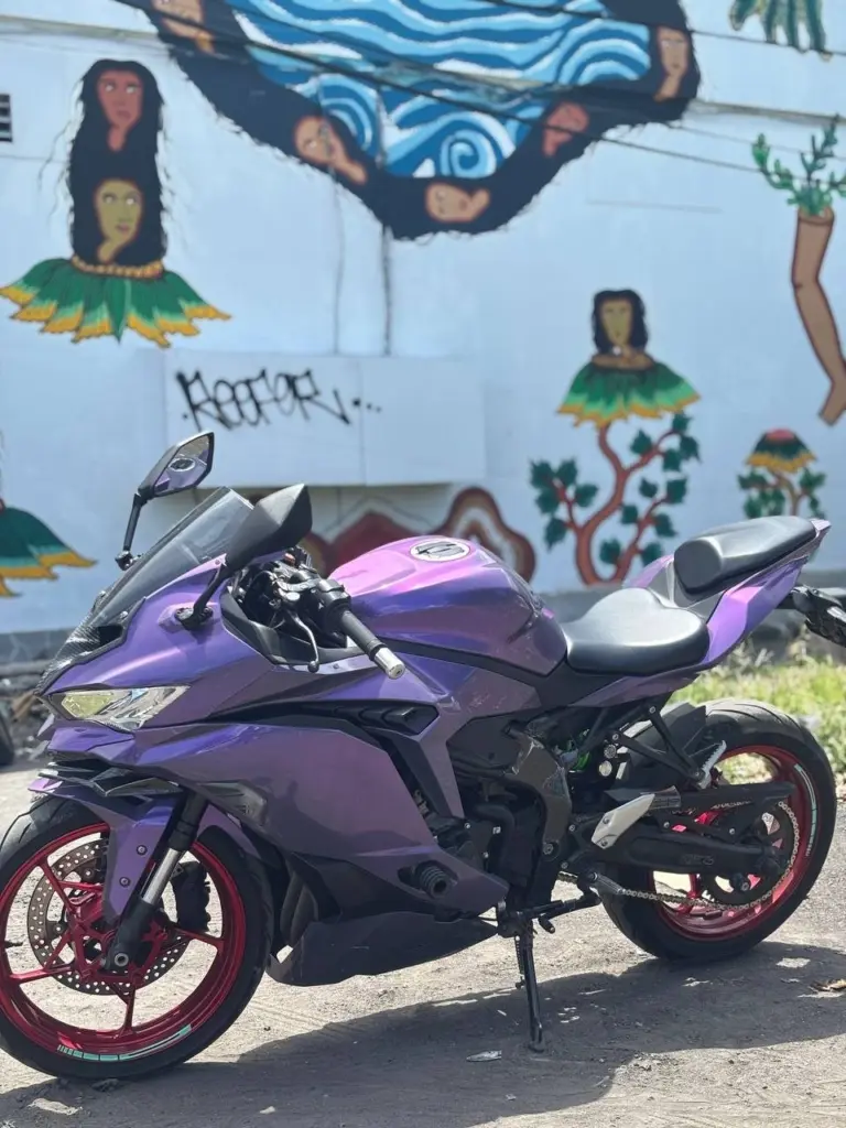 Kawasaki Ninja ZX-25RR Purple photo 17 Iron Rent Bali