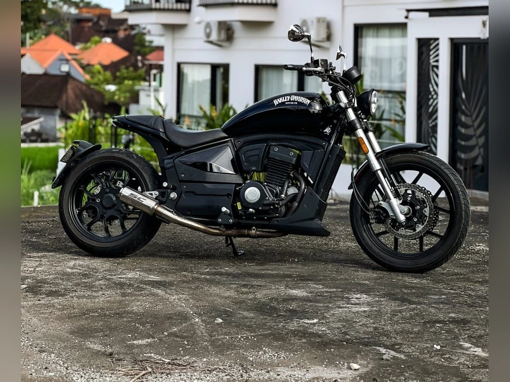 Hunter Harley-Davidson Style Iron Rent Bali