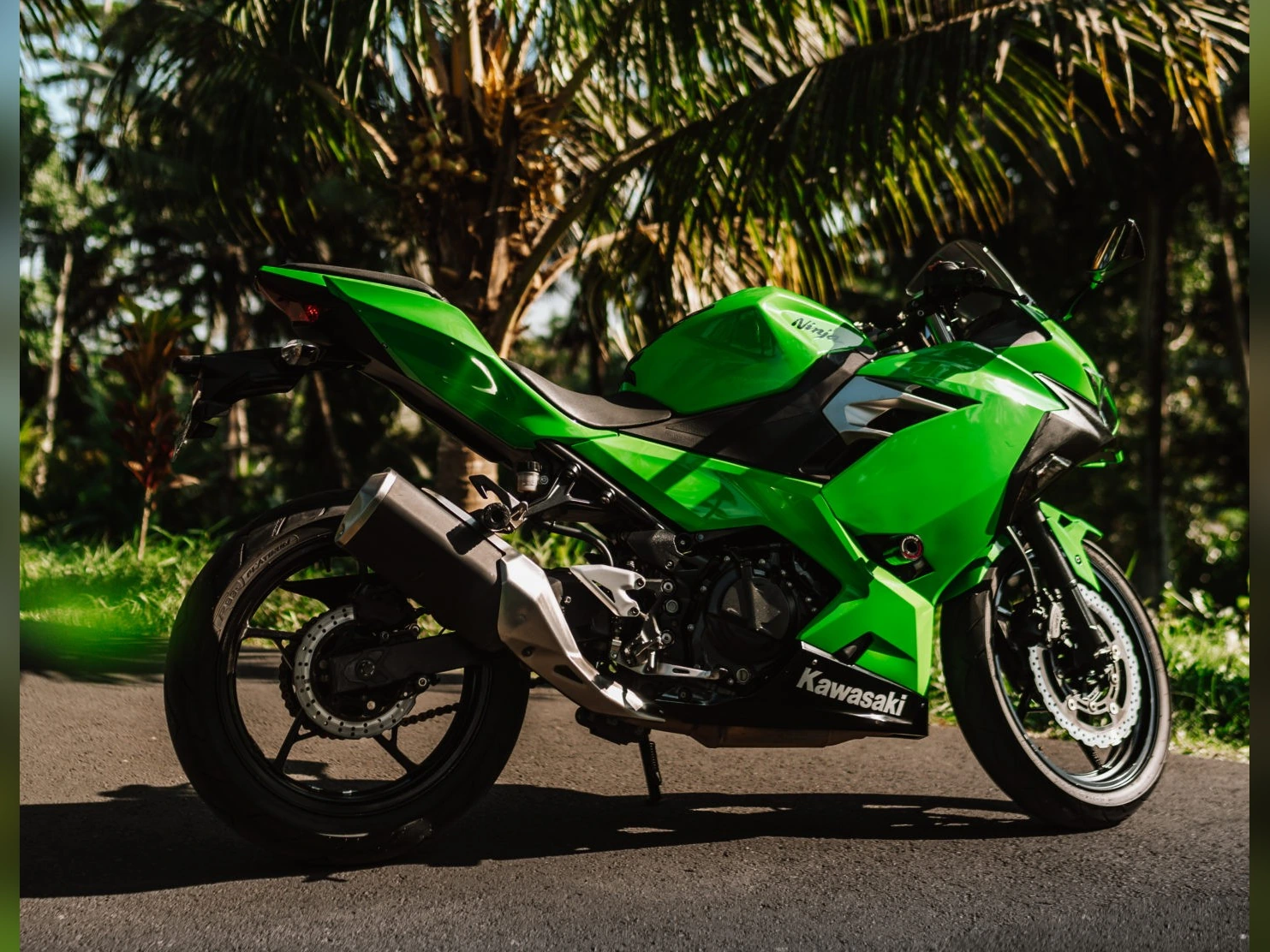 Kawasaki Ninja 250 Green Iron Rent Bali
