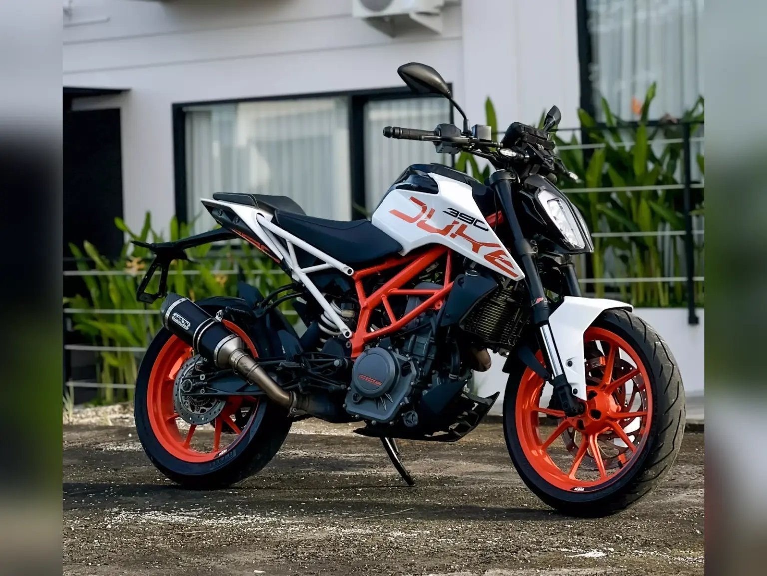 KTM Duke 390 White Iron Rent Bali