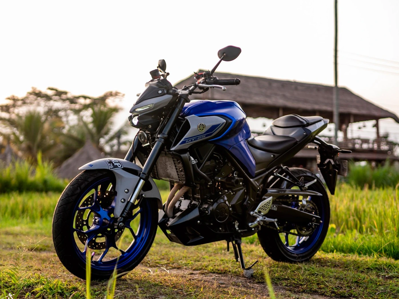 Yamaha MT-25 White Iron Rent Bali